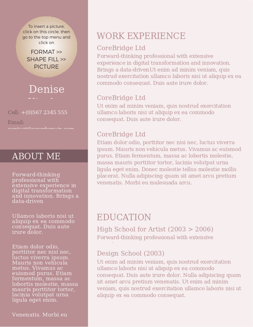 Modern and Chic CV preview